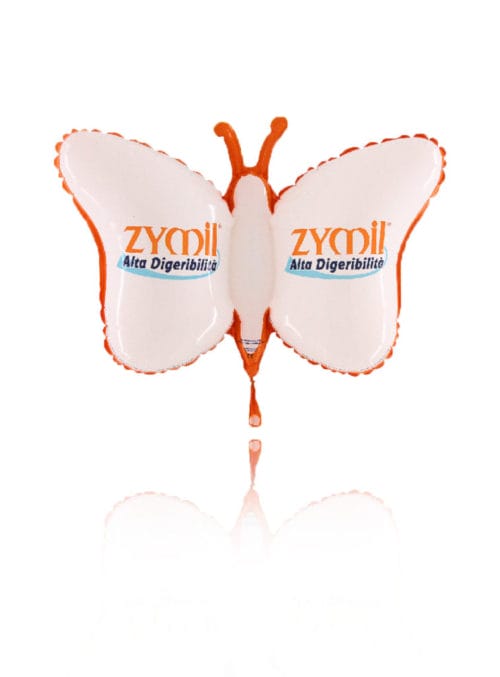 papillon-mylar-2d